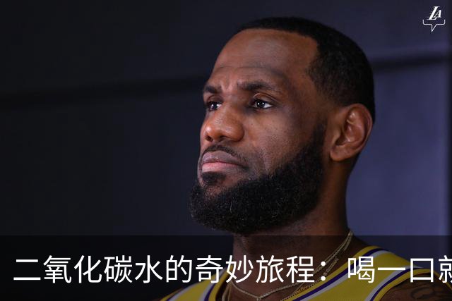二氧化碳水的奇妙旅程：喝一口就醉了！